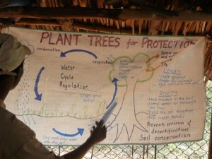 Unterricht über den Nutzen von Bäumen